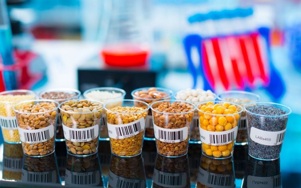 Food grains sit in jars in a lab.