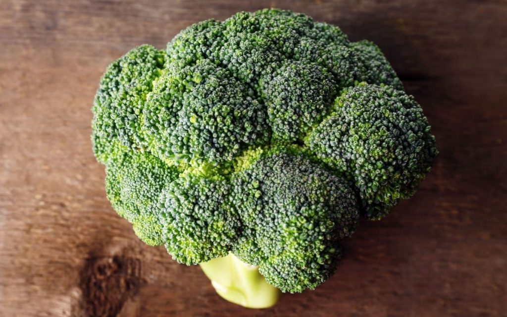 Fresh piece of broccoli.