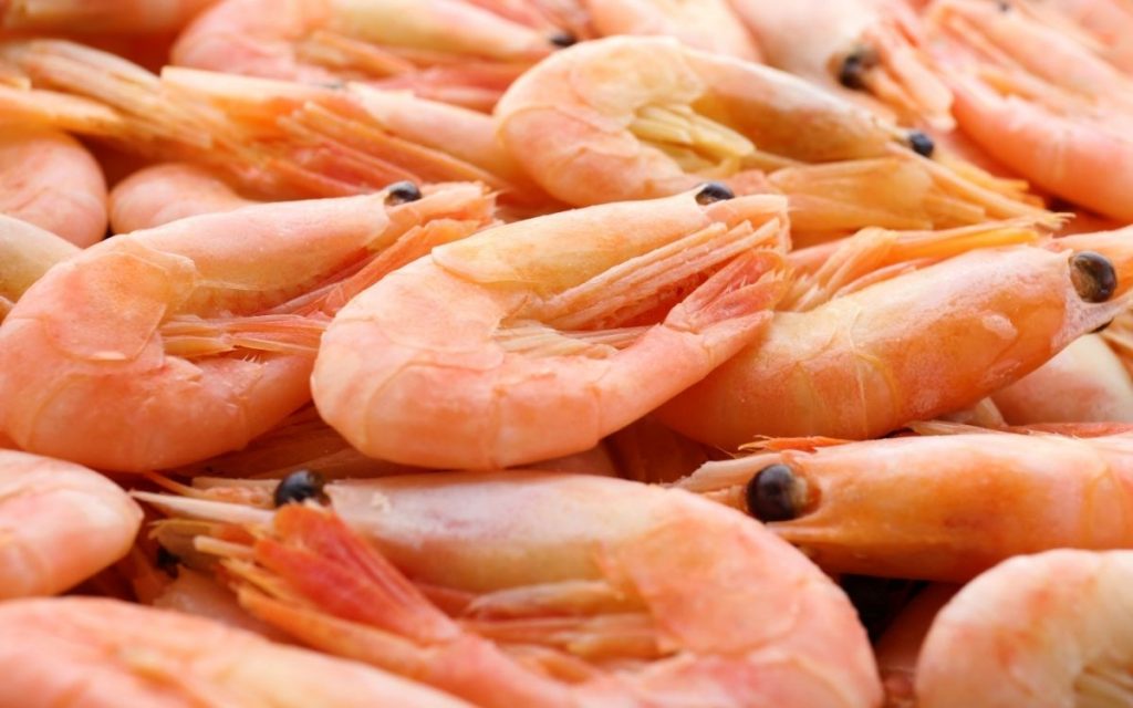 Fresh shrimp in a pile.