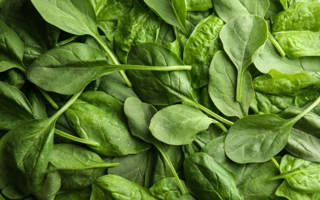 Fresh spinach.