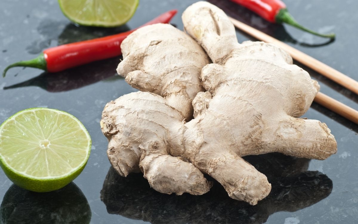 Why Is Ginger Hot? Who Eatz